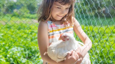 Çiftlikte tavuklu bir çocuk. Seçici odak.