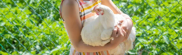 一个带着鸡在农场里的孩子有选择的重点 — 图库照片