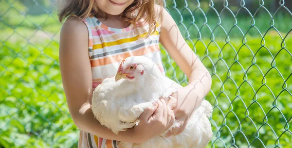 Child Farm Chicken Selective Focus — Stock Photo, Image