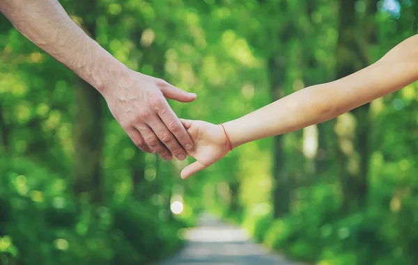 Padre Hijo Van Tomados Mano Enfoque Selectivo Naturaleza — Foto de Stock