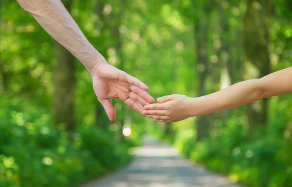 Padre Figlio Vanno Tenersi Mano Concentrazione Selettiva Natura — Foto Stock