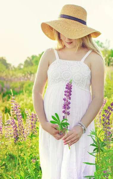 Mujer Embarazada Campo Altramuz Enfoque Selectivo Naturaleza — Foto de Stock