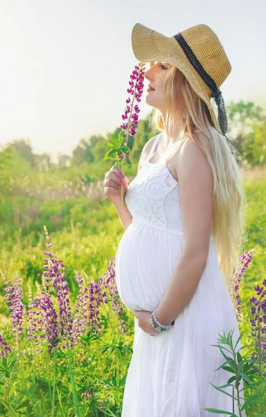 Donna Incinta Campo Lupini Focus Selettivo — Foto Stock