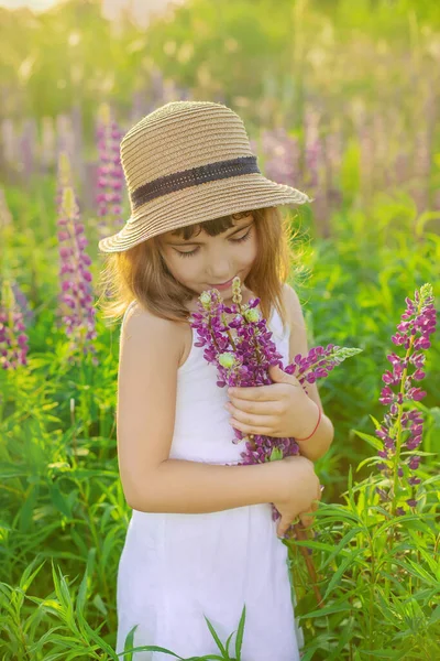 Child Photo Shoot Lupine Field Selective Focus — Stock Photo, Image