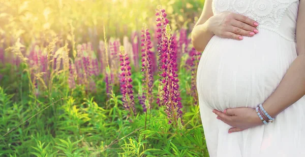 Mujer Embarazada Campo Altramuz Enfoque Selectivo Naturaleza — Foto de Stock