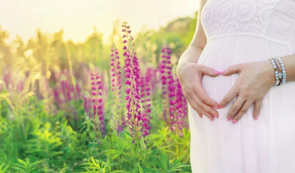 Pregnant Woman Lupine Field Selective Focus Nature — Stock Photo, Image