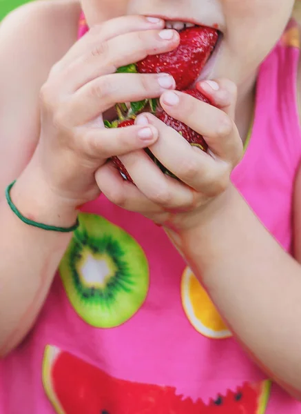 아이는 여름에 딸기를 먹습니다 선택적 집중입니다 사람들 — 스톡 사진