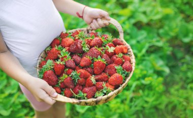 Elinde çilek olan bir çocuk. Seçici odaklanma. yiyecek.