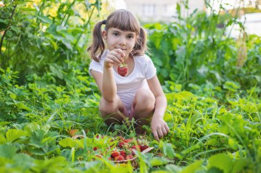 A child with strawberries in the hands. Selective focus. food. clipart