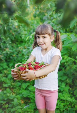 Elinde çilek olan bir çocuk. Seçici odaklanma. yiyecek.