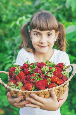 Elinde çilek olan bir çocuk. Seçici odaklanma. yiyecek.