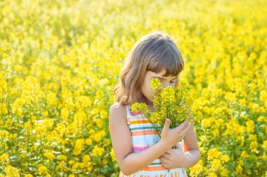 Sarı tarlada bir çocuk, hardal açar. Seçici odak.