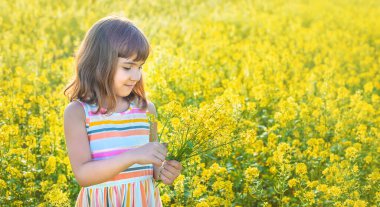 Sarı tarlada bir çocuk, hardal açar. Seçici odak.