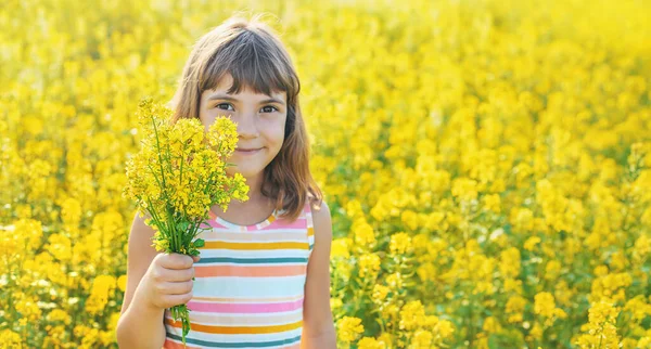 Niño Campo Amarillo Mostaza Florece Enfoque Selectivo — Foto de Stock