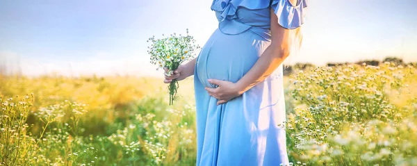 Mujer Embarazada Con Manzanillas Las Manos Enfoque Selectivo Naturaleza —  Fotos de Stock
