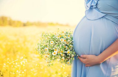 Elinde papatyalar olan hamile bir kadın. Seçici odaklanma. Doğa.