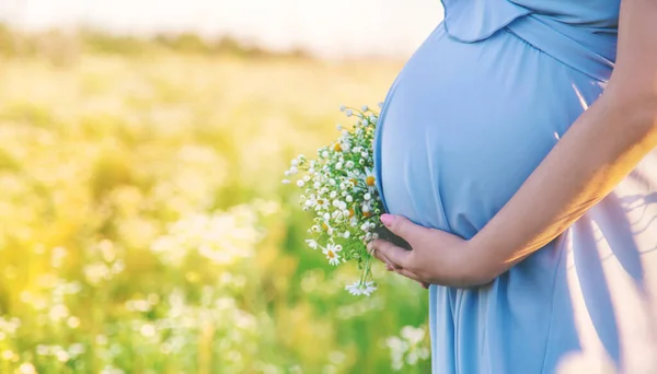 Mulher Grávida Com Camomilas Nas Mãos Foco Seletivo Natureza — Fotografia de Stock