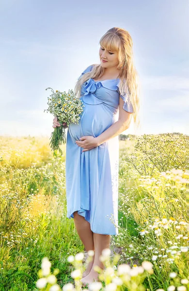 Elinde Papatyalar Olan Hamile Bir Kadın Seçici Odaklanma Doğa — Stok fotoğraf