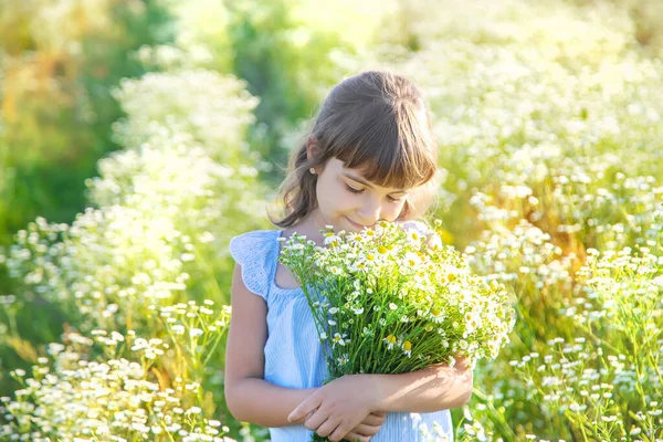 Niña Campo Manzanilla Enfoque Selectivo Naturaleza — Foto de Stock