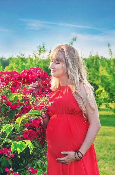 Ragazza Incinta Nel Giardino Rose Fiore Concentrazione Selettiva Natura — Foto Stock