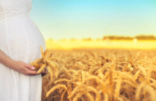 Mujer Embarazada Campo Trigo Enfoque Selectivo Naturaleza —  Fotos de Stock