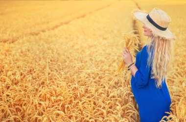 Buğday tarlasında hamile bir kadın. Seçici odaklanma. Doğa.