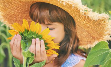 Çiçek açan ayçiçeği tarlasında bir çocuk. Seçici odaklanma. Doğa.