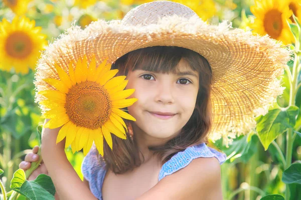 Kind Einem Feld Blühender Sonnenblumen Selektiver Fokus Natur — Stockfoto