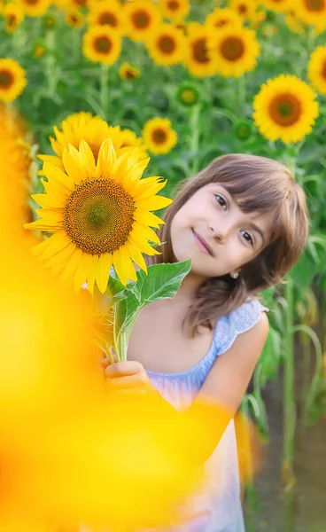 Dítě Poli Kvetoucích Slunečnic Selektivní Soustředění Příroda — Stock fotografie
