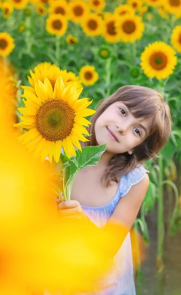 Child Field Blooming Sunflowers Selective Focus Nature — Stock Photo, Image