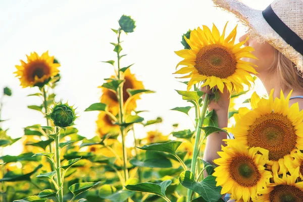 Mujer Campo Girasoles Enfoque Selectivo Naturaleza —  Fotos de Stock