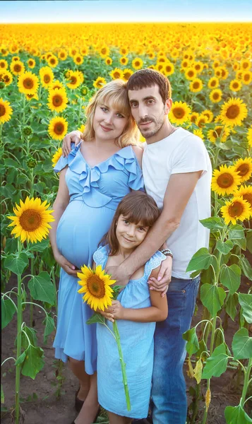 Familie Foto Een Veld Van Zonnebloemen Selectieve Focus — Stockfoto