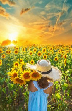 Çiçek açan ayçiçeği tarlasında bir çocuk. Seçici odaklanma. Doğa.