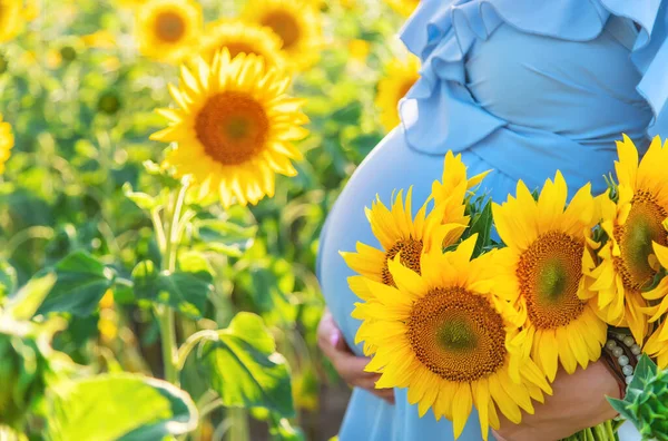 Una Mujer Embarazada Campo Girasoles Enfoque Selectivo Naturaleza — Foto de Stock