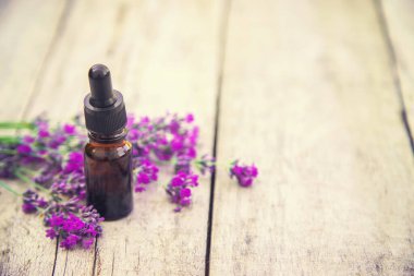 Lavanta yağı küçük bir şişede. Seçici odaklanma. Doğa..