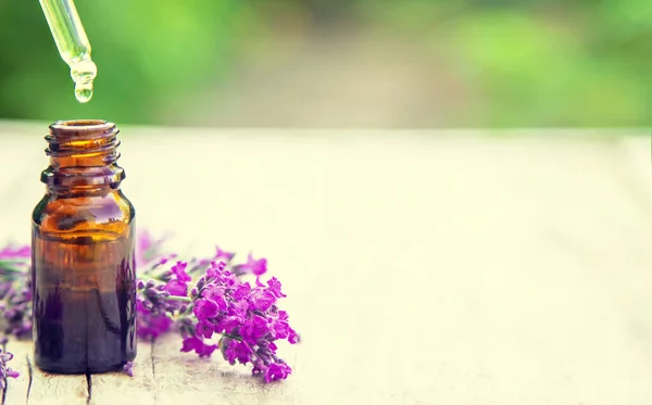 Aceite Esencial Lavanda Una Botella Pequeña Focus Nature Selectivo — Foto de Stock