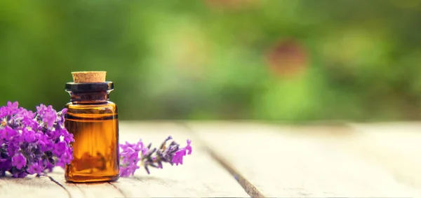 Lavendel Eterisk Olja Liten Flaska Selektiv Fokus Natur — Stockfoto