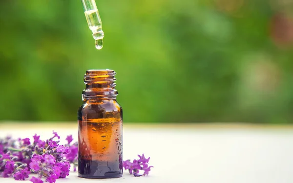 Óleo Essencial Lavanda Uma Pequena Garrafa Focus Nature Seletivo — Fotografia de Stock