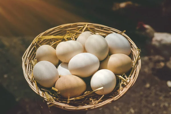 Zelfgemaakte Kippeneieren Een Mand Selectieve Focus Aard — Stockfoto