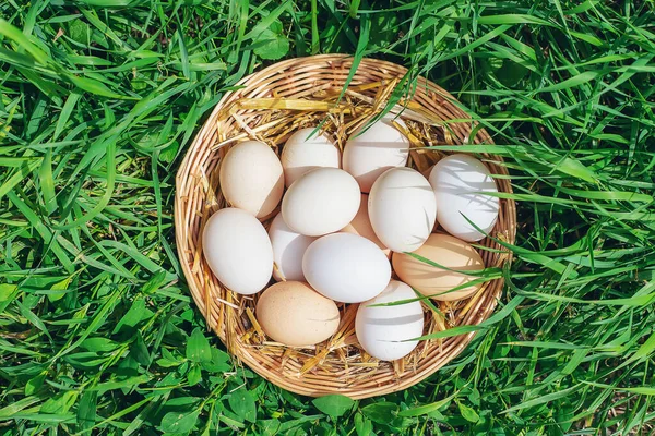 Ovos Galinha Caseiros Cesto Foco Seletivo Natureza — Fotografia de Stock