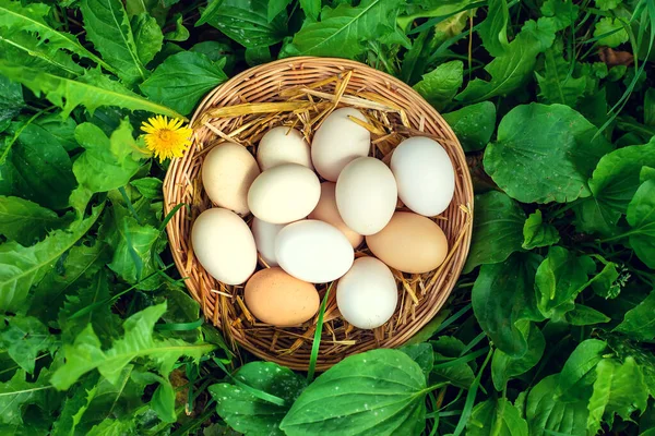 Ovos Galinha Caseiros Cesto Foco Seletivo Natureza — Fotografia de Stock