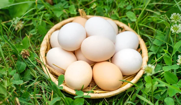 Ovos Galinha Caseiros Cesto Foco Seletivo Natureza — Fotografia de Stock