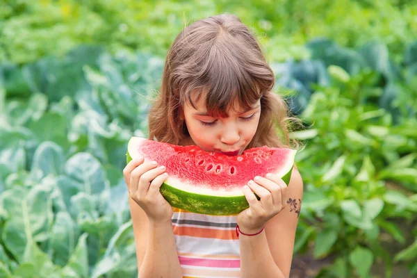 Child Picnic Eats Watermelon Selective Focus — Stock Photo, Image