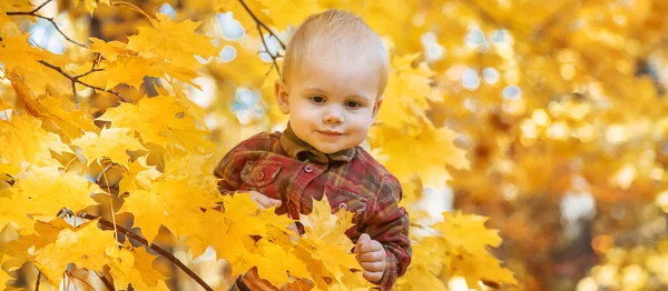 Kleiner Junge Park Auf Herbstblättern Selektiver Fokus — Stockfoto