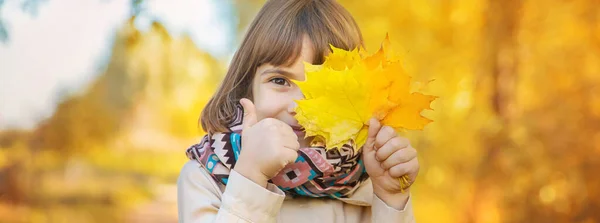 Bambini Nel Parco Con Foglie Autunnali Focus Selettivo — Foto Stock