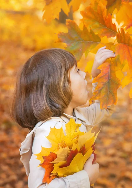 Дети Парке Осенними Листьями Селективный Фокус — стоковое фото