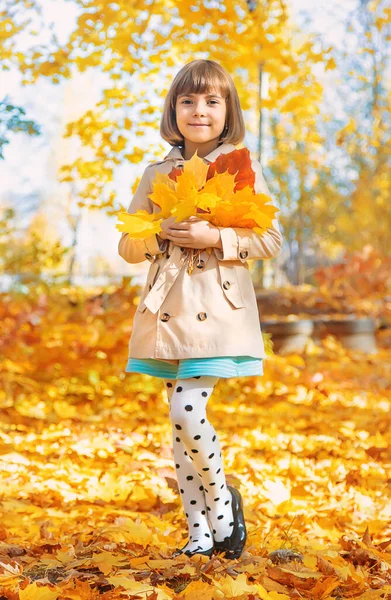 秋の葉を持つ公園の子供たち 選択的焦点 — ストック写真
