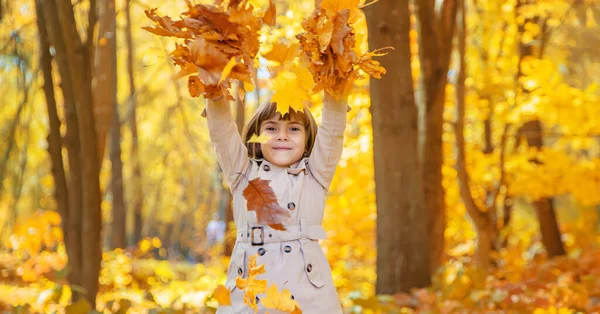 Kinder Park Mit Herbstlaub Selektiver Fokus — Stockfoto