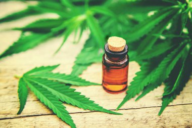 Kenevir küçük bir şişede özütülür. Seçici odaklanma. Doğa.