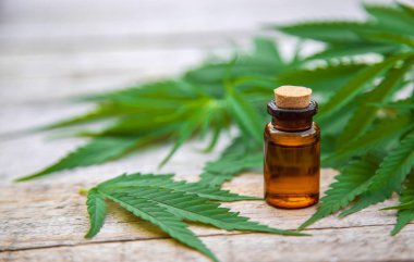 Kenevir küçük bir şişede özütülür. Seçici odaklanma. Doğa.